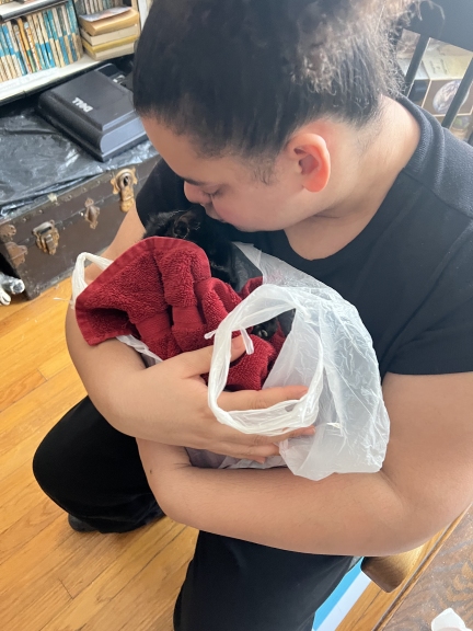 Mya holding 18-year-old Angel, wrapped in red towel & loose plastic bag for warmth, on the last day of her life